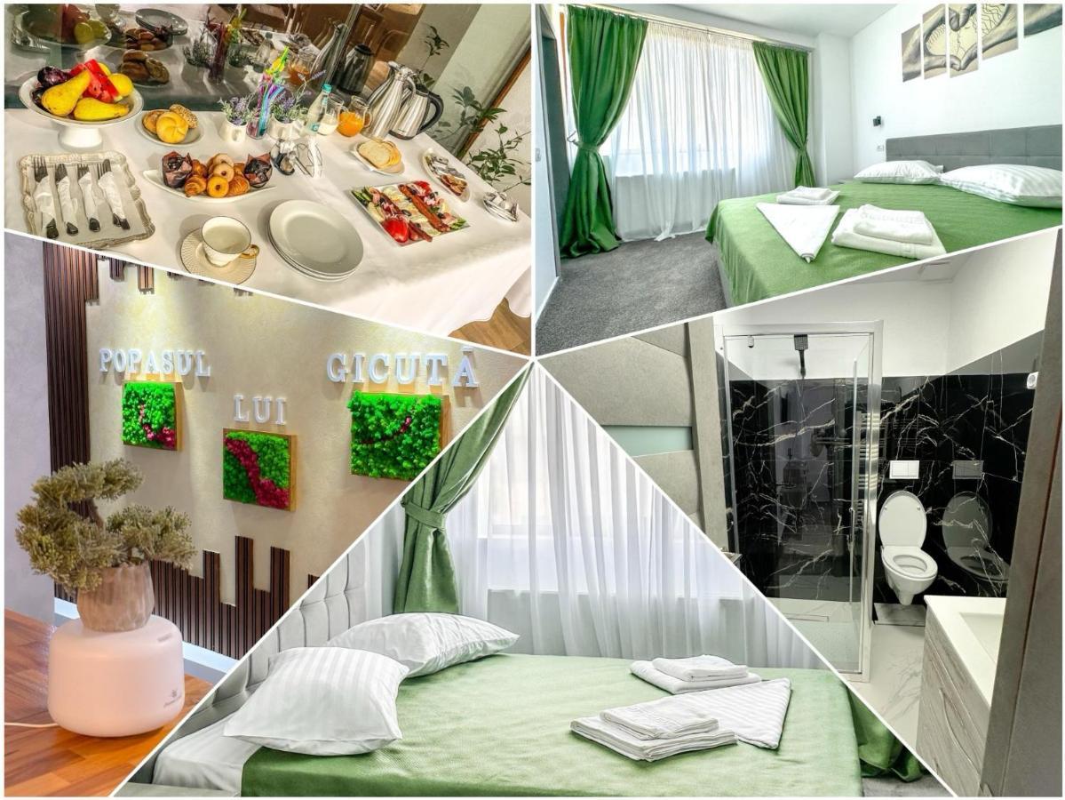 Popasul Lui Gicuta Bed & Breakfast Curtea De Arges Exterior photo